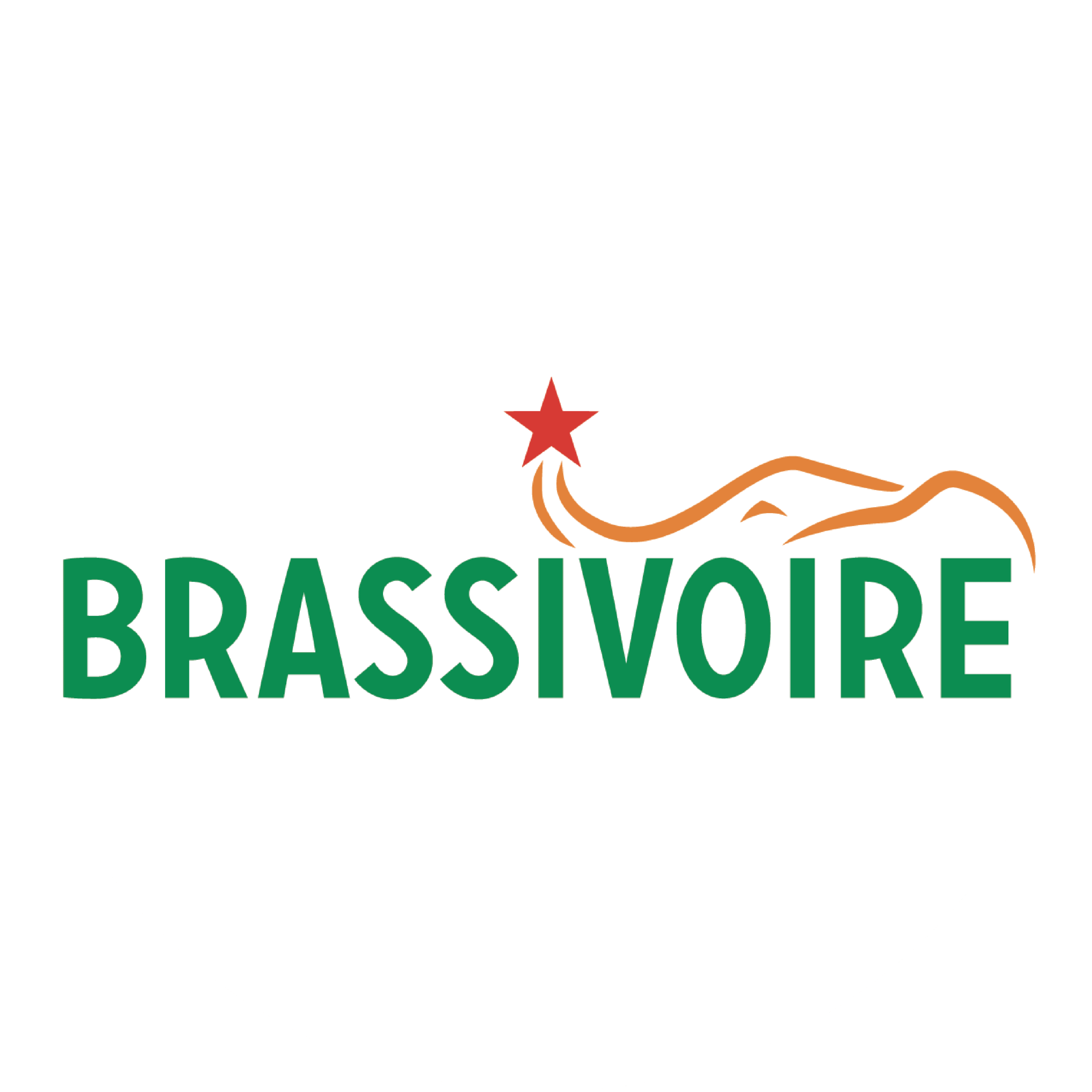 BRASSIVOIRE